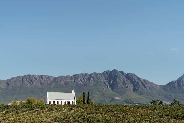 The Impact of Climate Change on South African Winemaking
