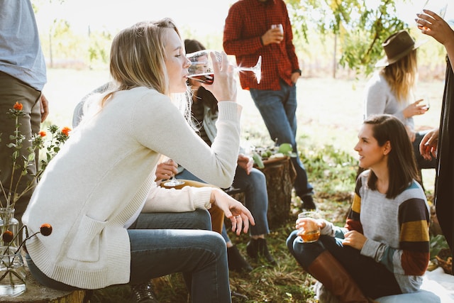 Wine Tasting Events in South Africa: Enhancing Your Palate