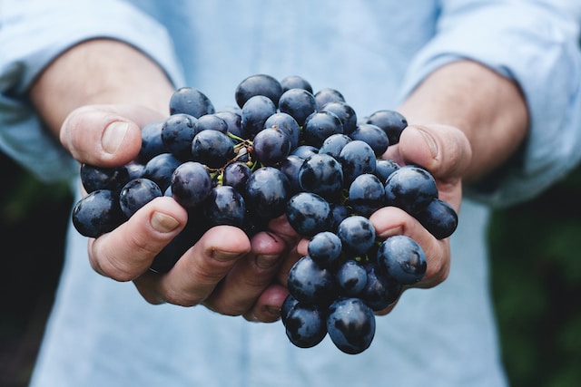 The Future of South African Wine: Emerging Styles and Trends