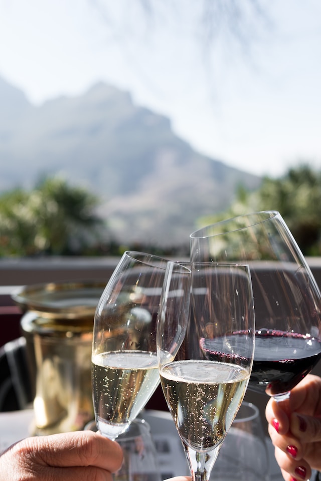 South African Méthode Cap Classique: Champagne-Style Sparkling Wines