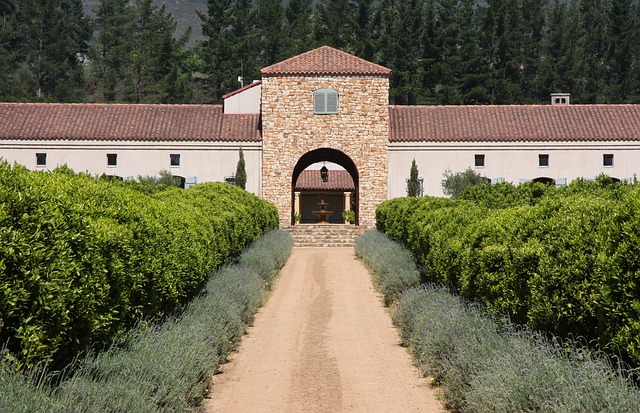 The Rise of South African Bulk Wine: Exploring the Growth and Potential