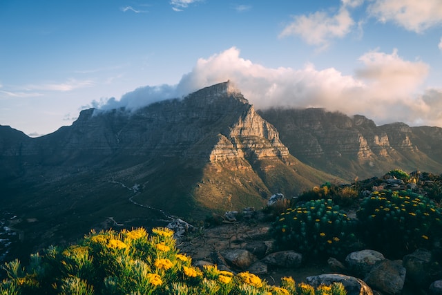 Wine Destinations Beyond the Vineyards: Exploring South Africa’s Wine Country