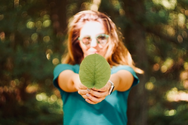 Sustainability in South African Bulk Wine: Protecting the Environment, Supporting Communities