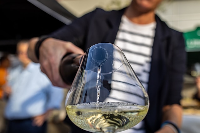 Discovering South Africa’s Wine Regions: A Guide for Wine Enthusiasts
